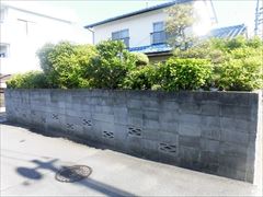 CIMG0542_R_R