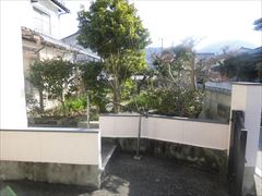 CIMG0311 (1)_R